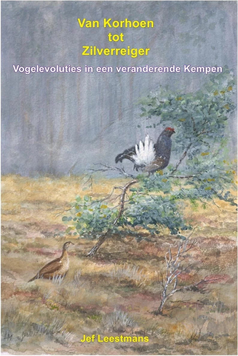 Van korhoen tot zilverreiger