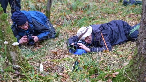 Afbeelding: Foto-excursie: Bleeke Heide