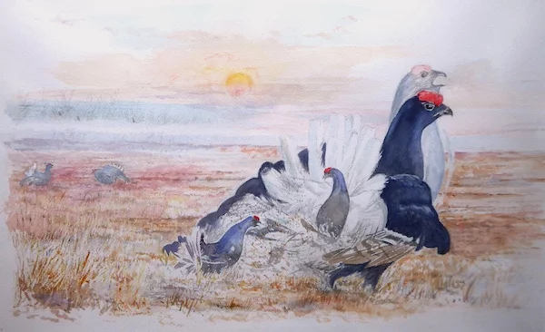 Afbeelding: Boekvoorstelling ‘Van korhoen tot zilverreiger’