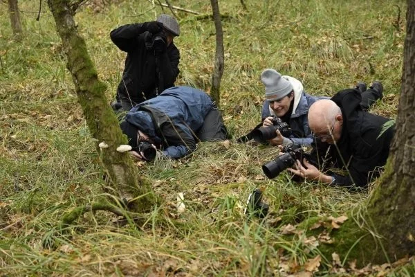 Afbeelding: Foto-uitstap naar de Kooldries