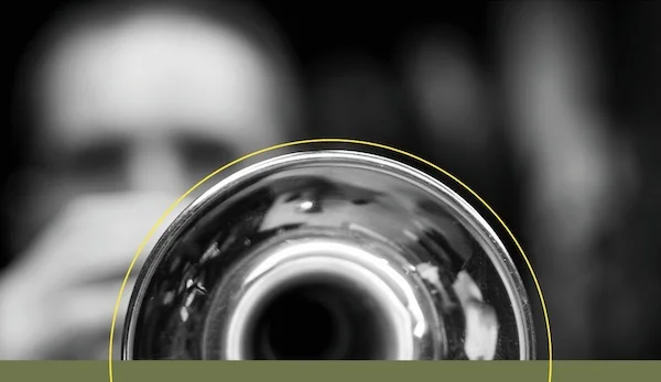 Afbeelding: ‘BorderBrass Forever’ - Slotconcert