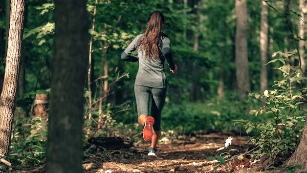 Afbeelding: Vagebondloop in Wortel-Kolonie