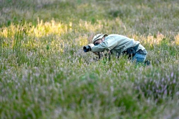Afbeelding: Foto-excursie: Het Moer