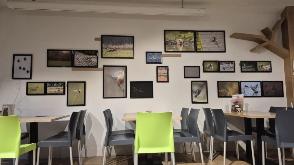 Afbeelding: Fototentoonstelling "Beweging" - Wortel