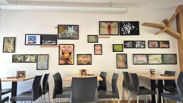 Afbeelding: Fototentoonstelling in Bezoekerscentrum De Klapekster - Wortel