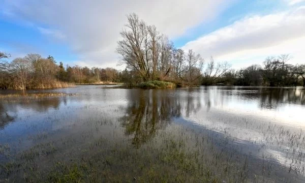 Afbeelding: Cursus natuur en erfgoed in het Land van Mark en Merkske (volzet!)