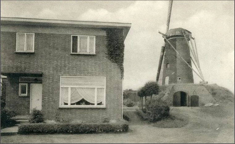 Afbeelding: Tentoonstelling: Molens in Hoogstraten