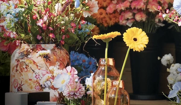 Afbeelding: Rotary zomert in Merksplas Kolonie