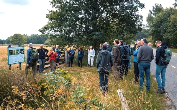 Afbeelding: Wandeling: "Gevogel op de Castelreesche heide"