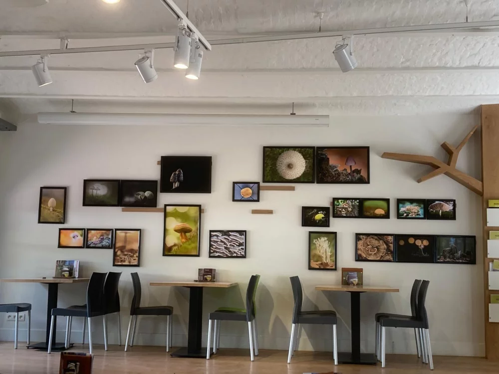 Afbeelding: Fototentoonstelling in Bezoekerscentrum De Klapekster - Wortel 