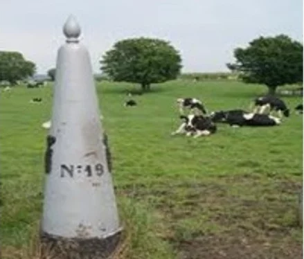 Afbeelding: 25ste Grenswandeling Raak-Meerle