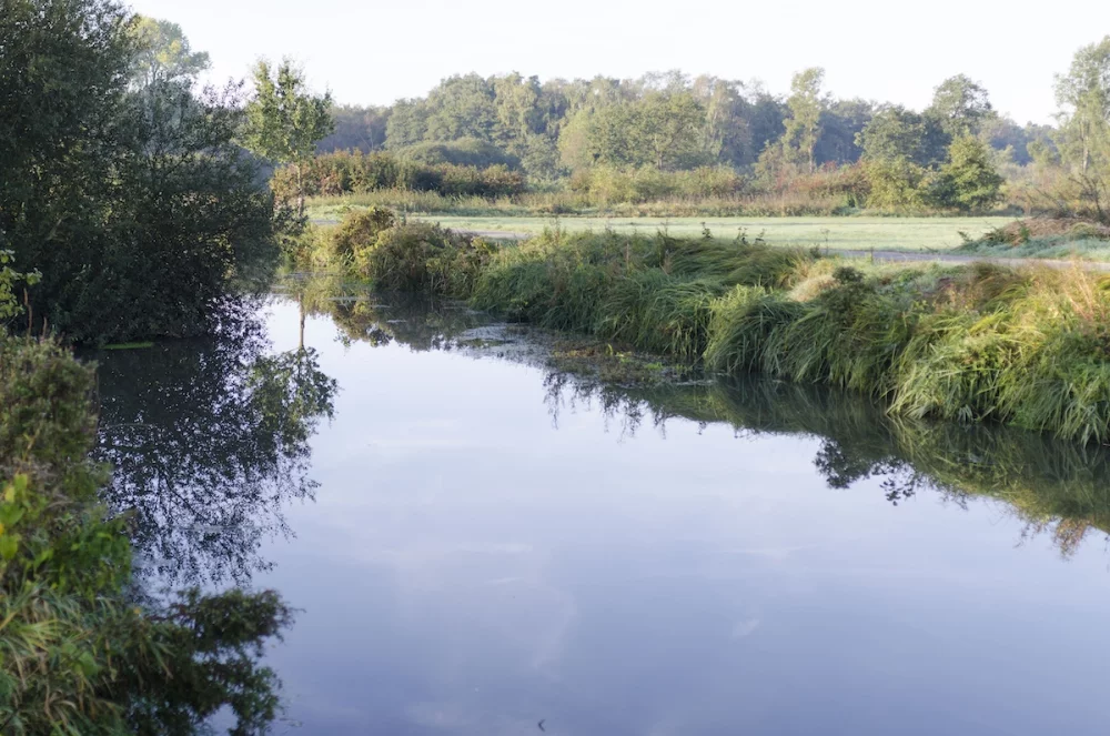 De Mark aan de Aschputten