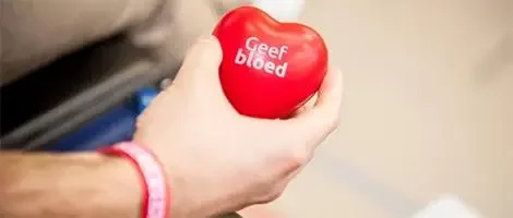 Afbeelding: Bloed geven – Hoogstraten-dorp